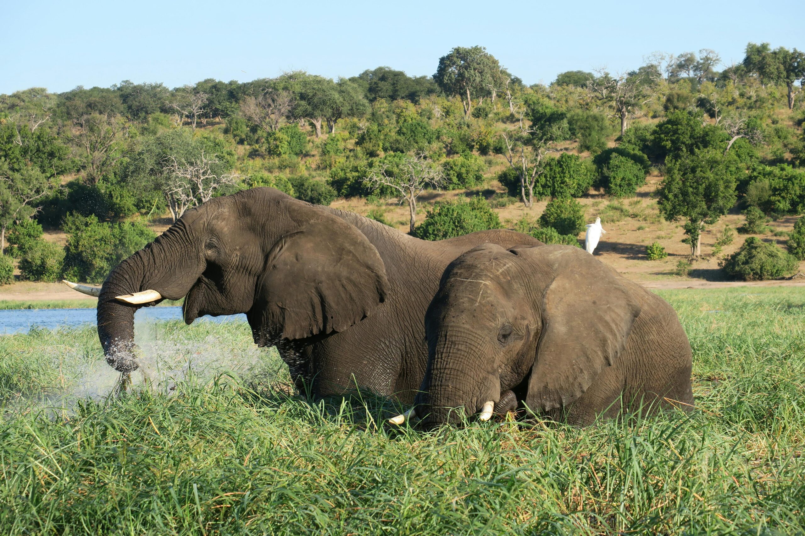 Botswana